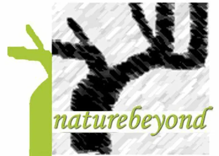 Nature Beyond image