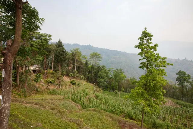 Bunkulung Village Excursion