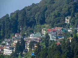Darjeeling IMG 2270