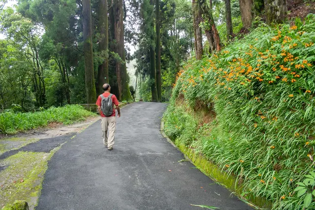 Day walks from Darjeeling. 