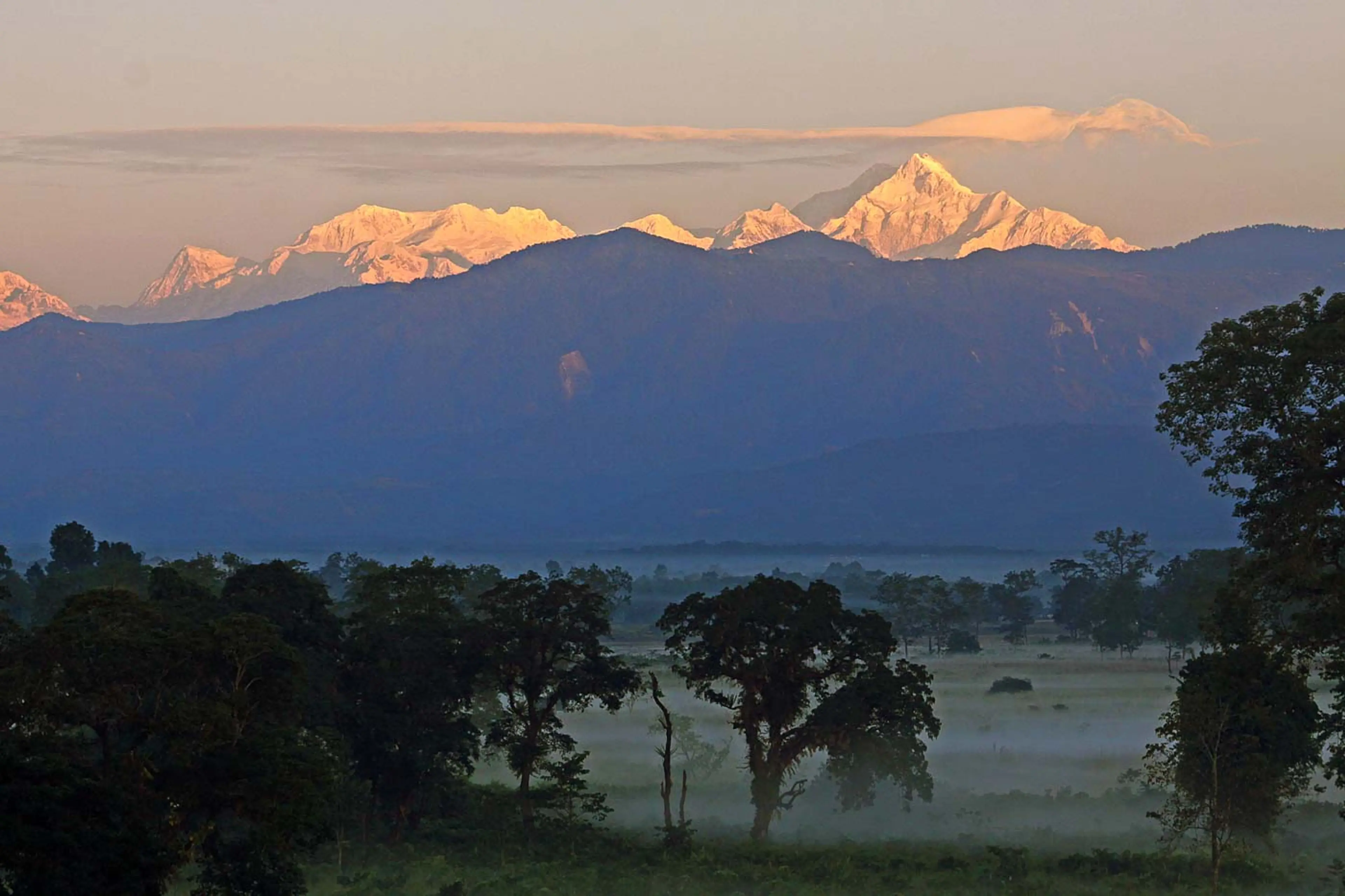 Garumara Biswapriya