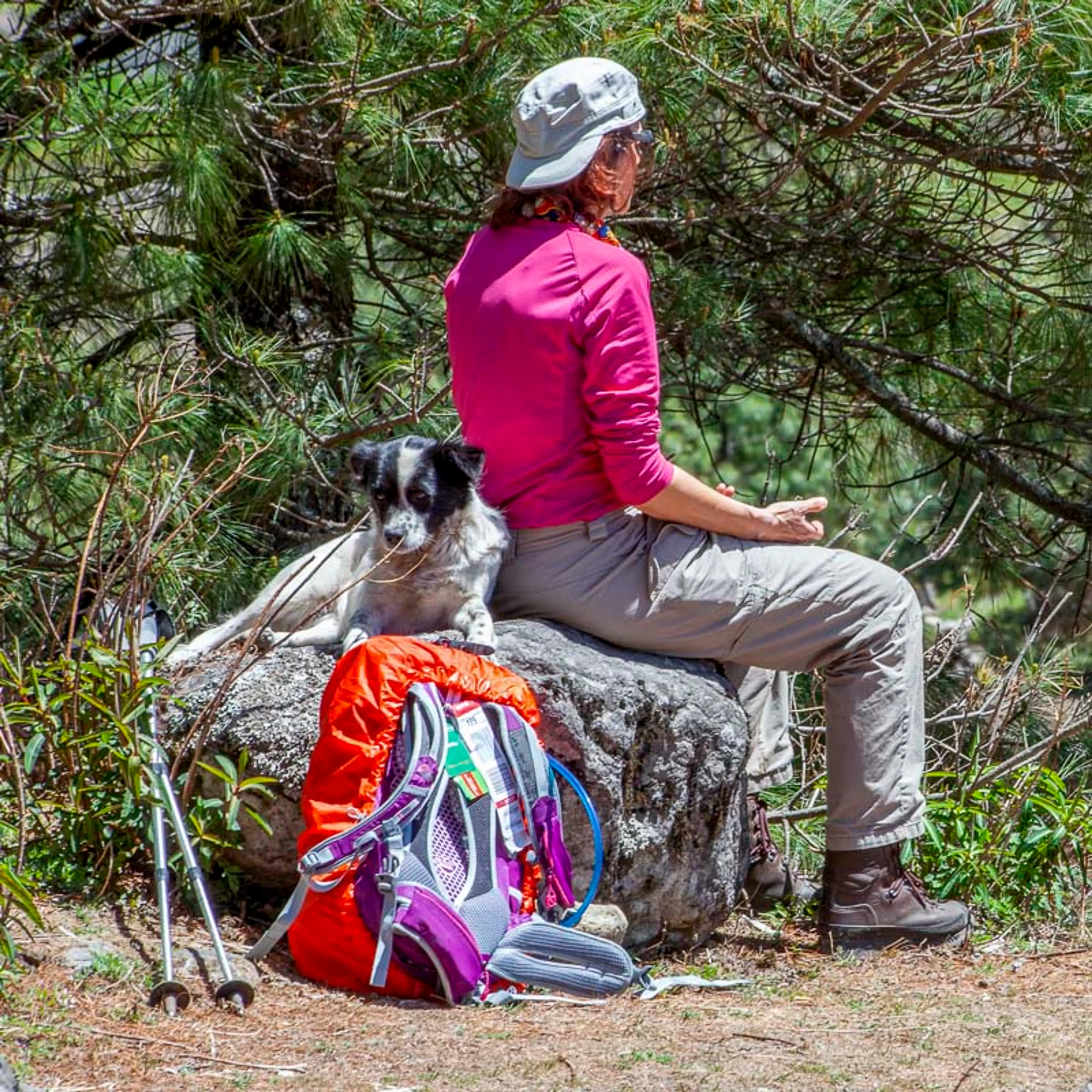 Himalayan Trekking