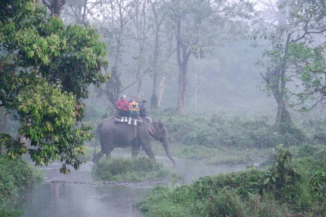 Elephant Safari into Jaldapara Grassland 