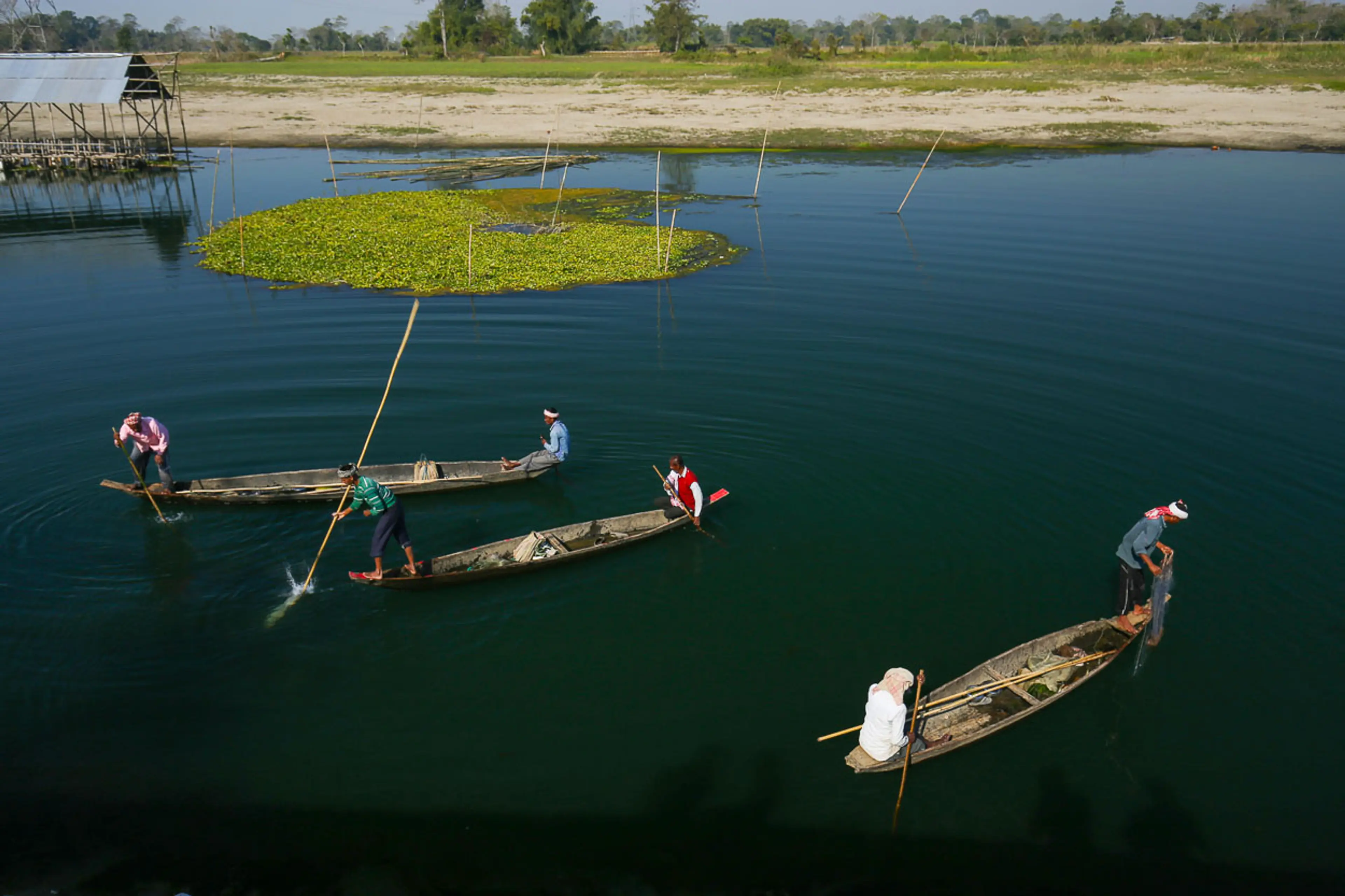 Majuli assam IMG 9345