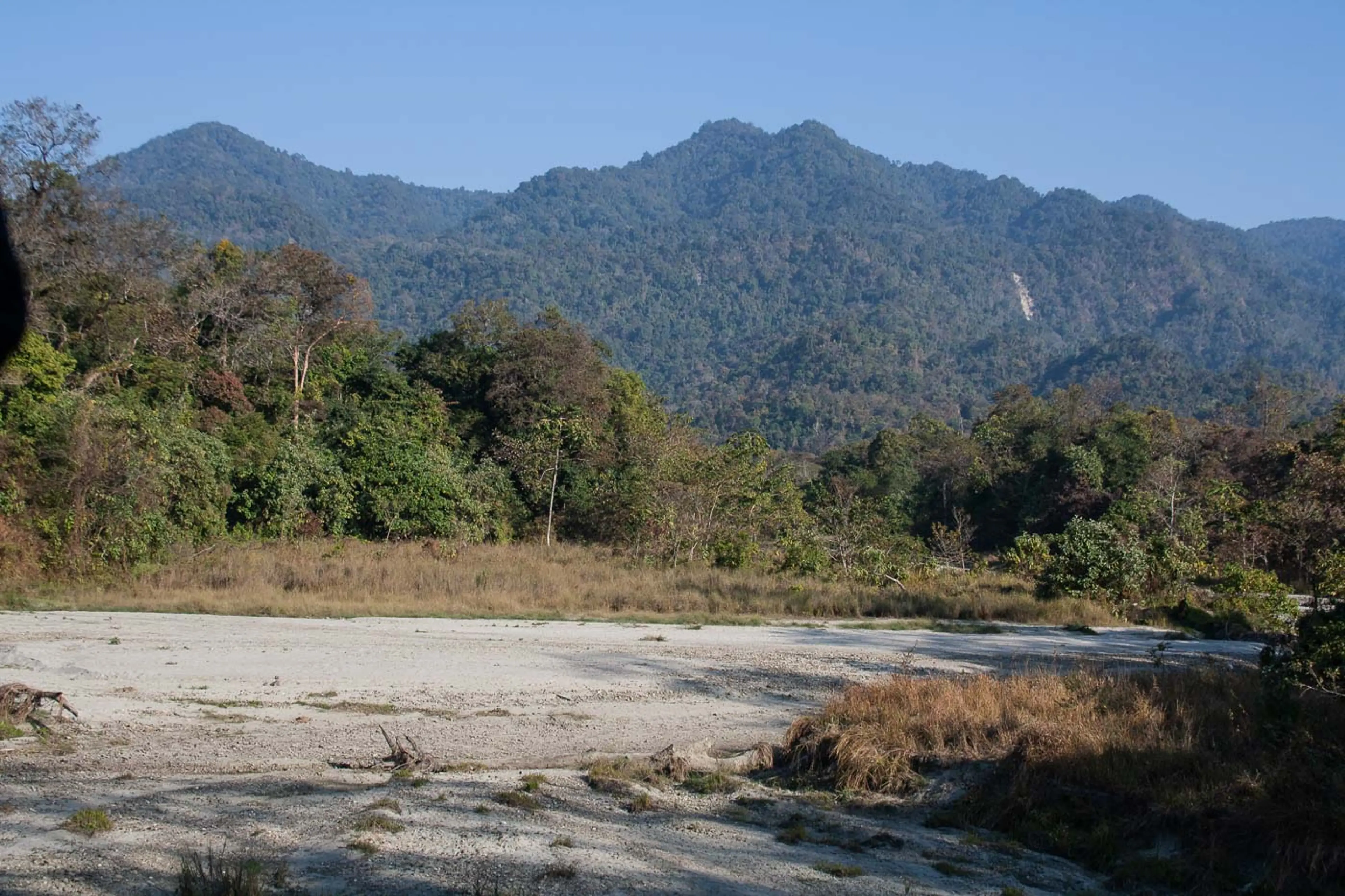 Manas National Park Assam 40