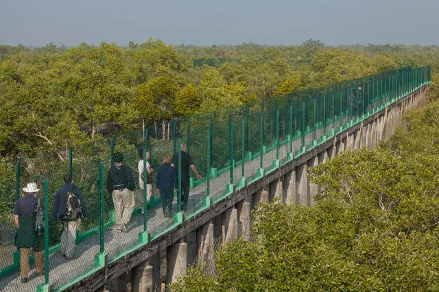 Watch Tower in Sundarbans