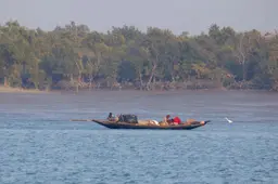 Mangrove Cruising Sundarbans 472