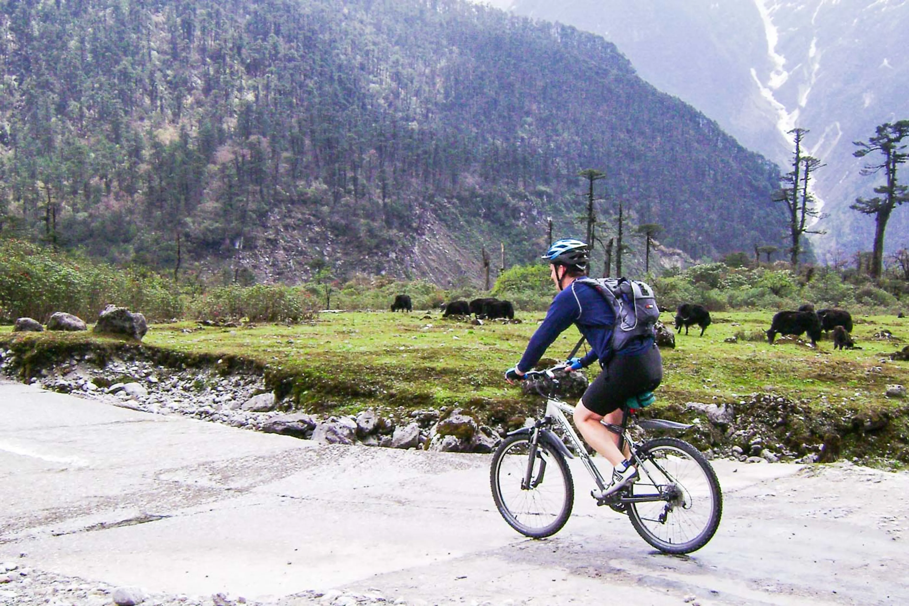 Mountain Biking North Sikkim16
