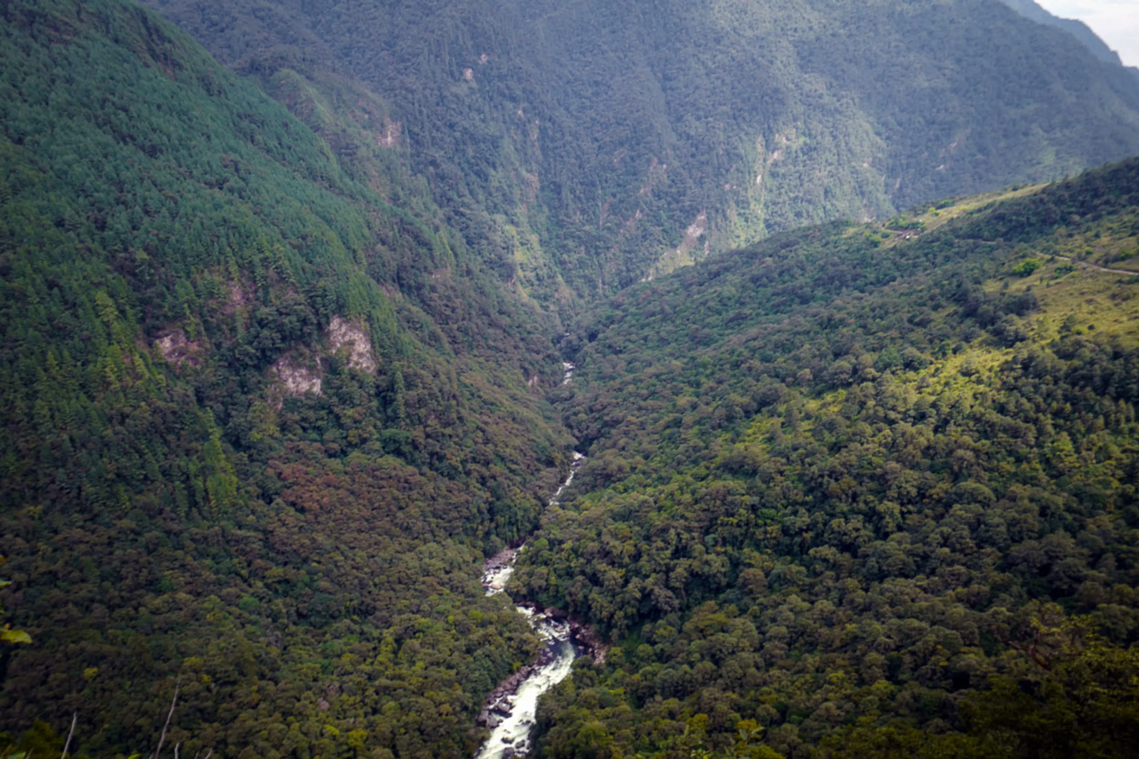Pakhui Wildlife Sanctuary—kameng arunachal pradesh L1040072