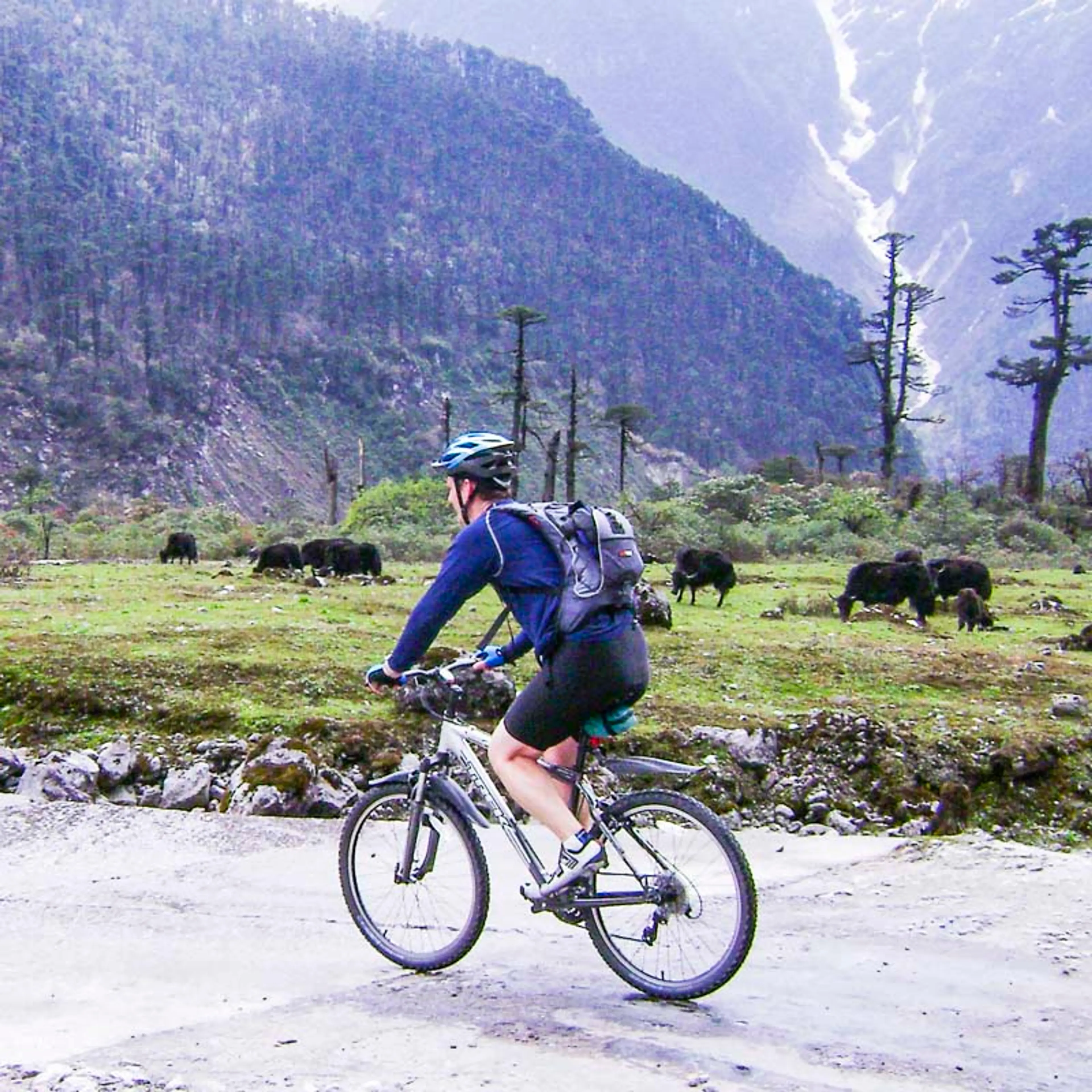 Sikkim Biking tour