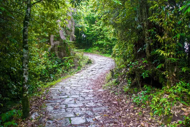 Hiking in Yuksom 