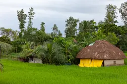 Sundarbans Village Tour IMG 9975