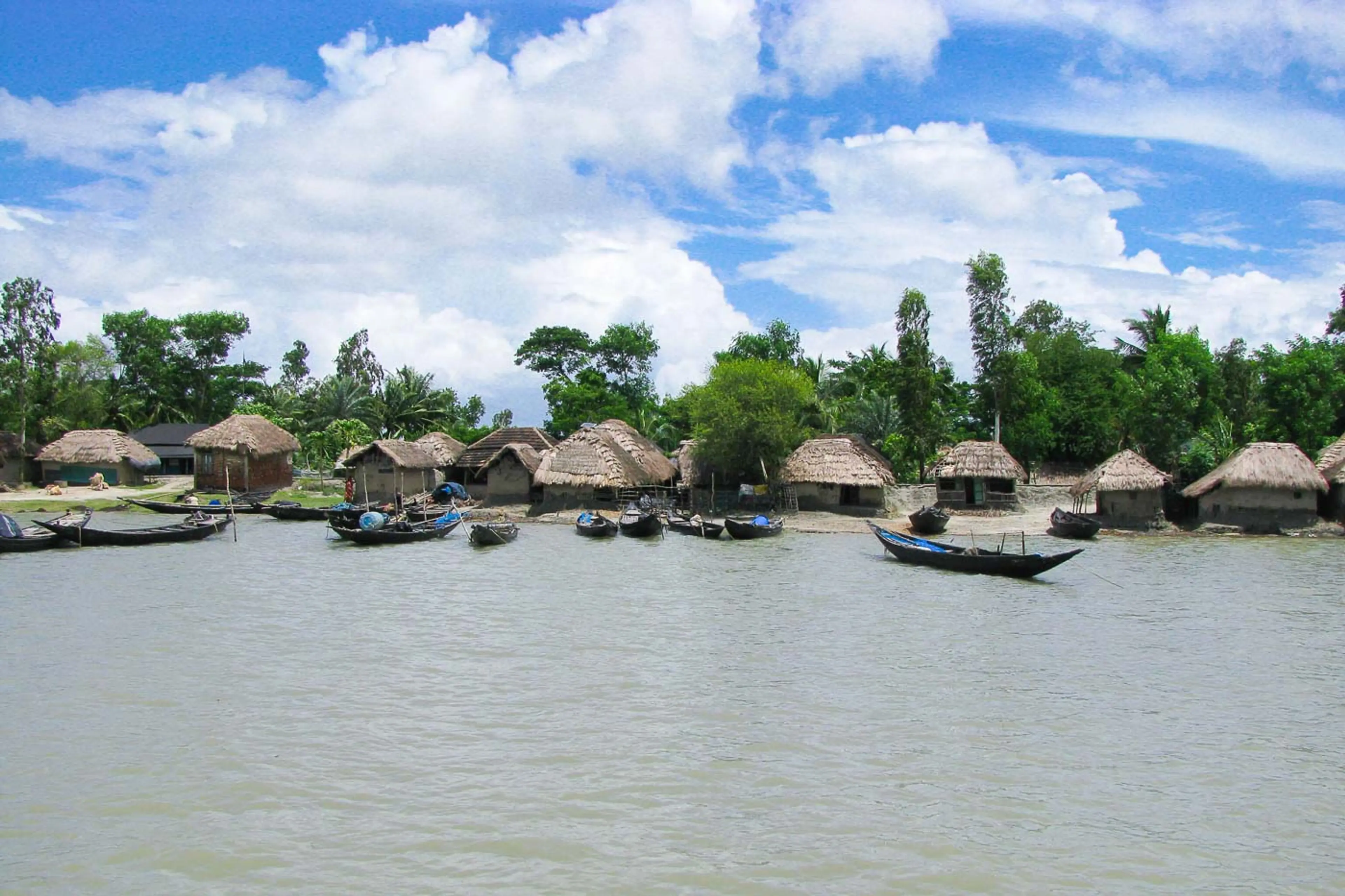 Sundarbans1