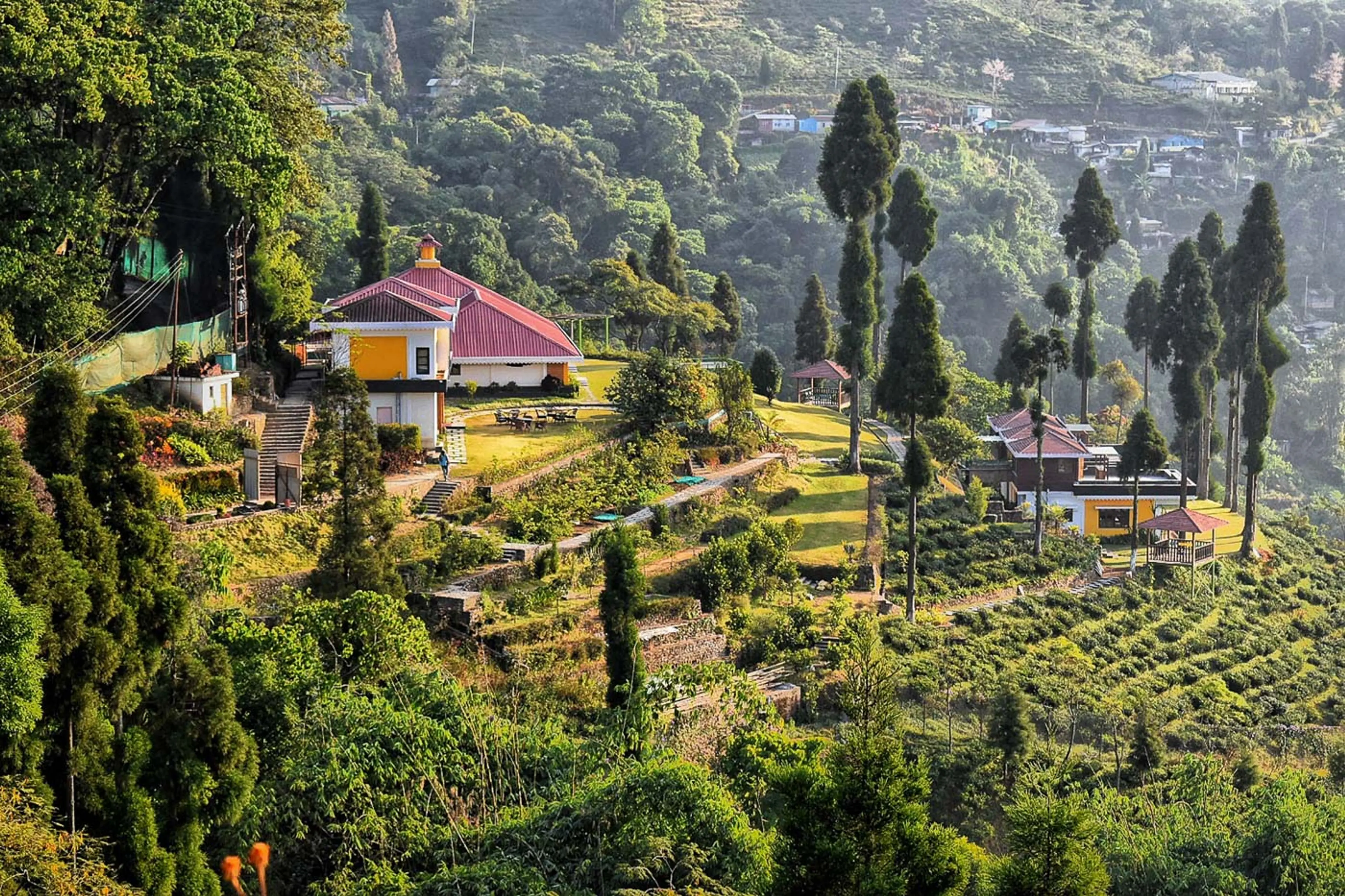 Tea Garden Chamong6