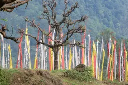 Yuksom Sikkim 21