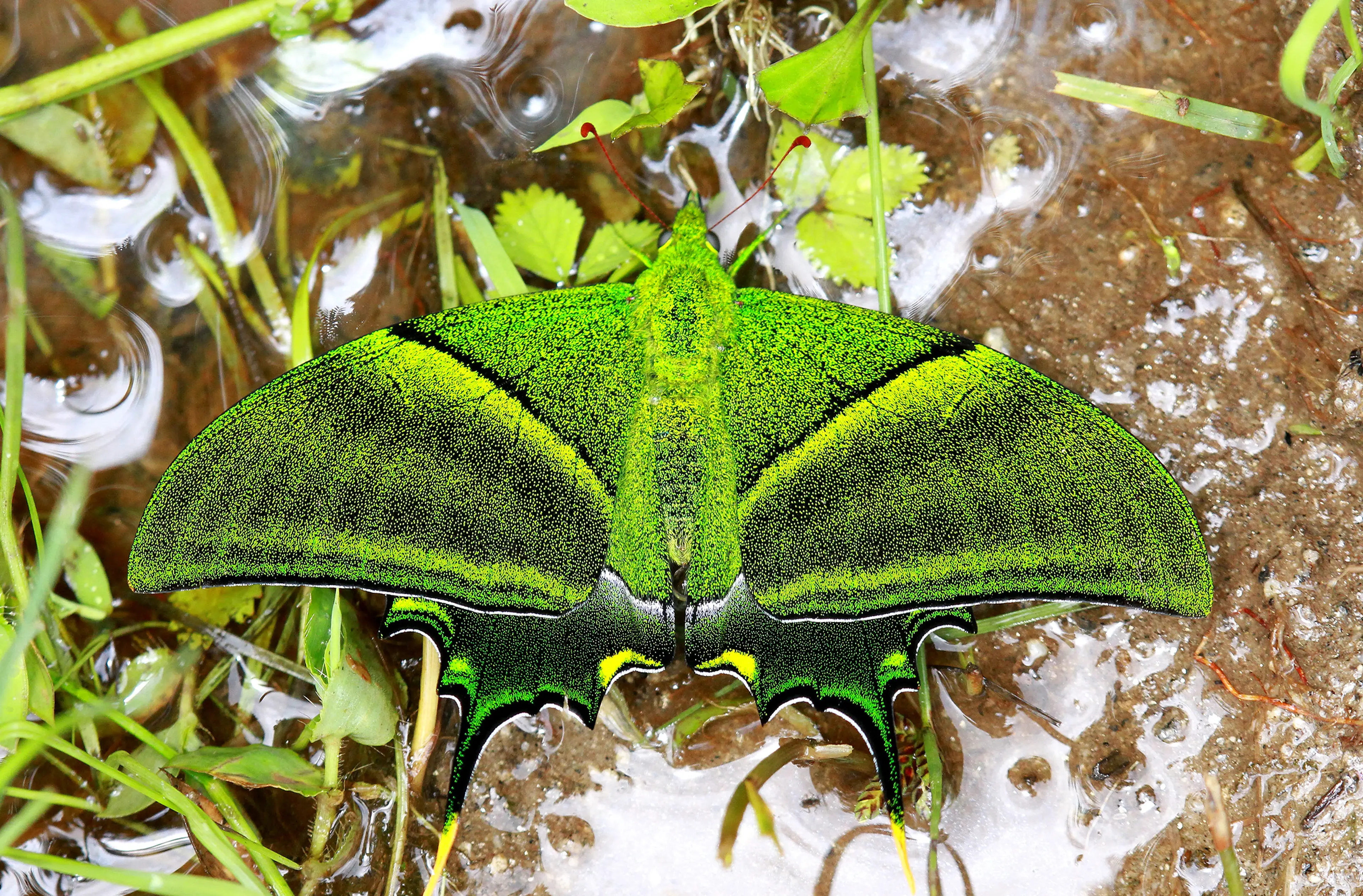 Nature Beyond image