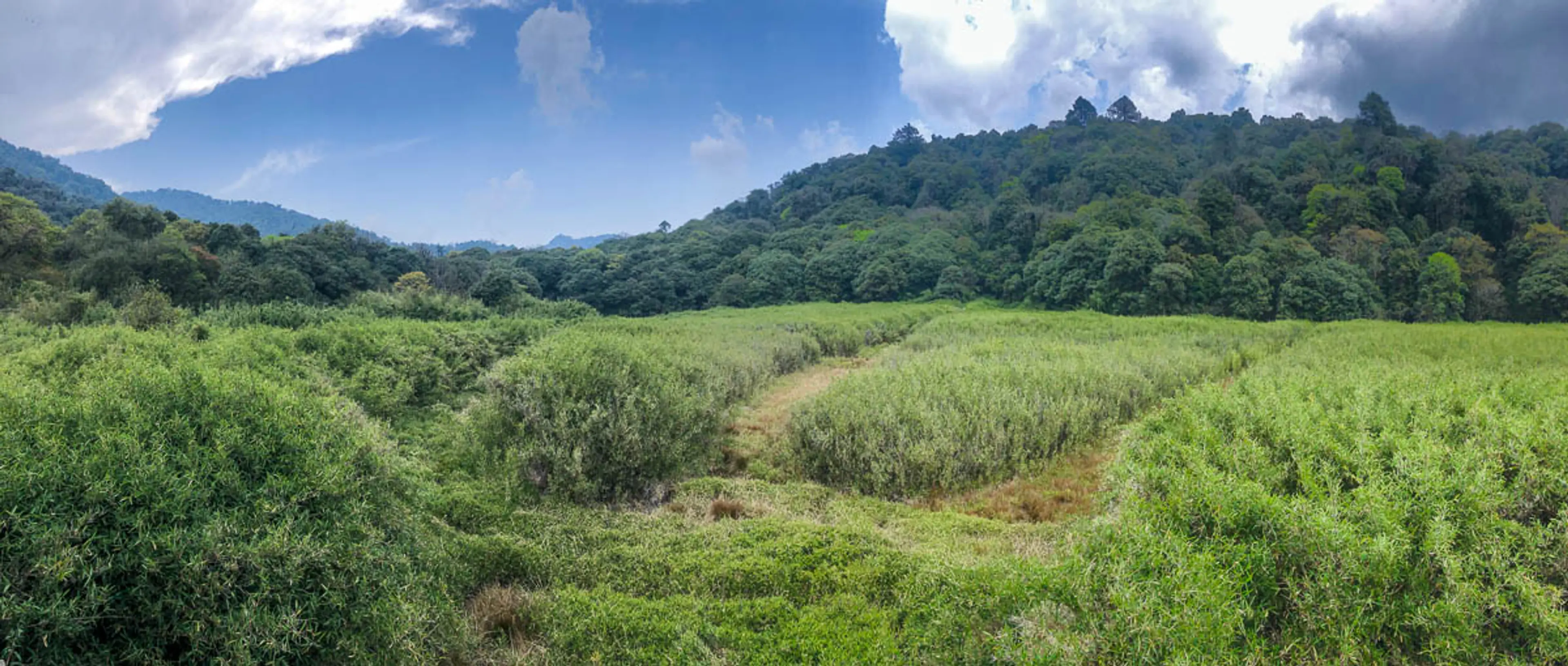 Neora Valley Birding Trek 7