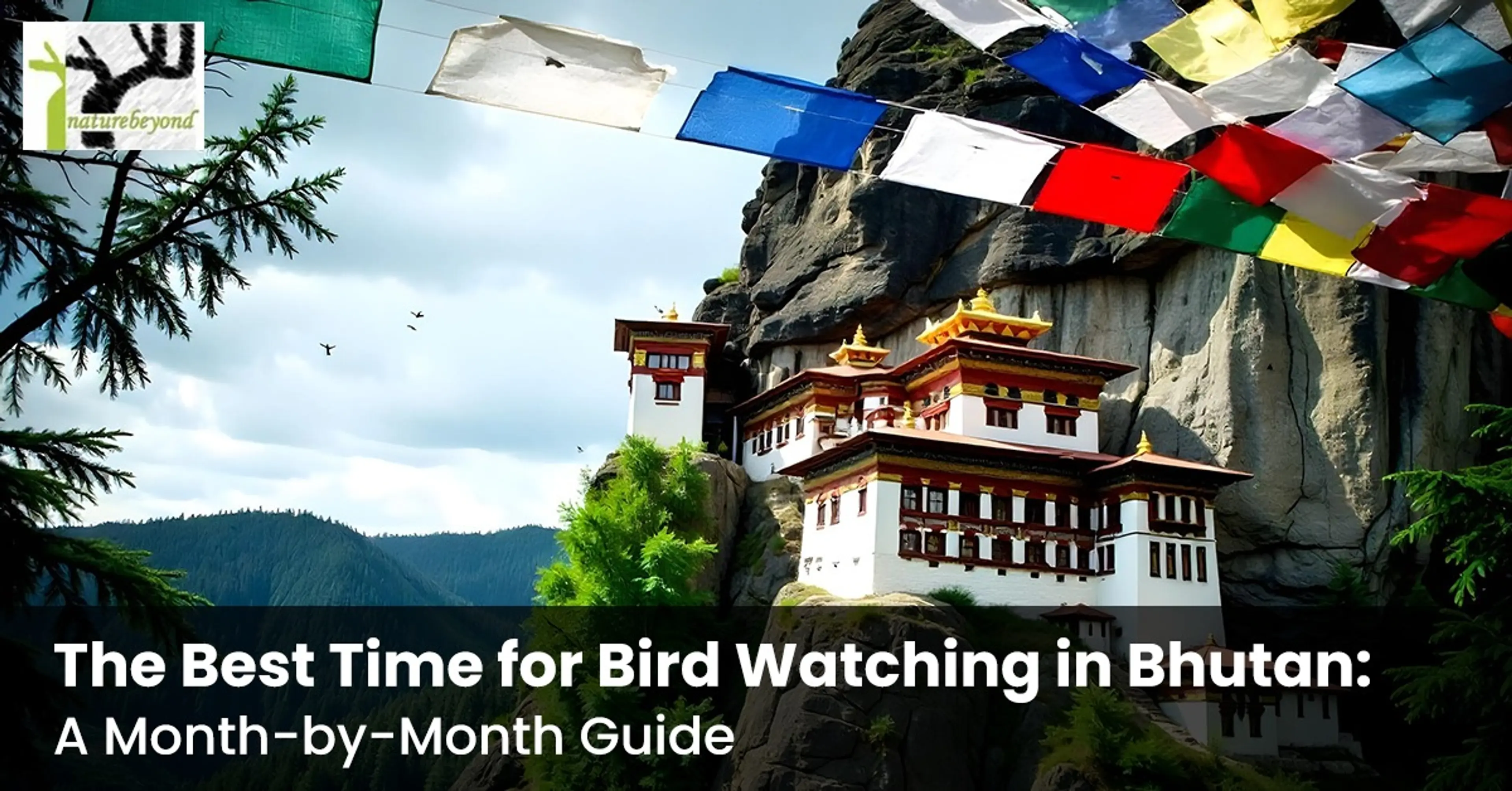 best time for bird watching in bhutan